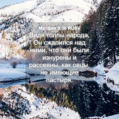 Picture 04 - Матфея 9:36 RUSV - Видя толпы народа, Он - Bible Verse Picture