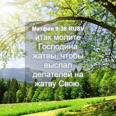 Picture 04 - Матфея 9:38 RUSV - итак молите Господина - Bible Verse Picture
