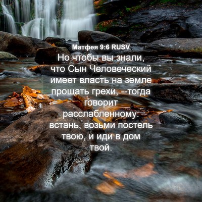 Picture 04 - Матфея 9:6 RUSV - Но чтобы вы знали, что Сын - Bible Verse Picture