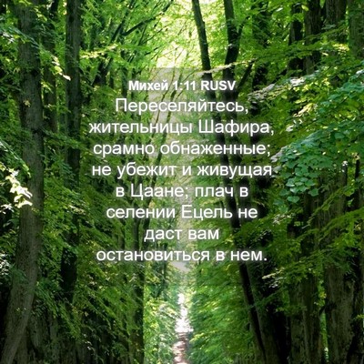Picture 04 - Михей 1:11 RUSV - Переселяйтесь, жительницы - Bible Verse Picture