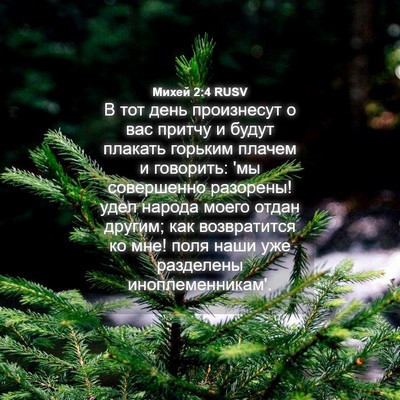 Picture 04 - Михей 2:4 RUSV - В тот день произнесут о вас - Bible Verse Picture