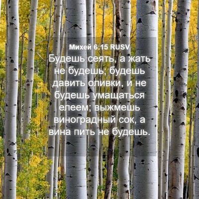 Picture 04 - Михей 6:15 RUSV - Будешь сеять, а жать не - Bible Verse Picture