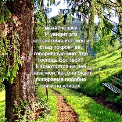 Picture 04 - Михей 7:10 RUSV - И увидит это - Bible Verse Picture