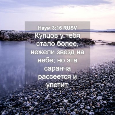 Picture 04 - Наум 3:16 RUSV - Купцов у тебя стало более, - Bible Verse Picture