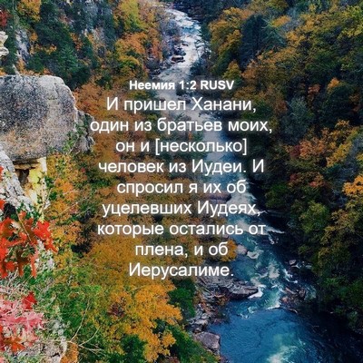 Picture 04 - Неемия 1:2 RUSV - И пришел Ханани, один из - Bible Verse Picture