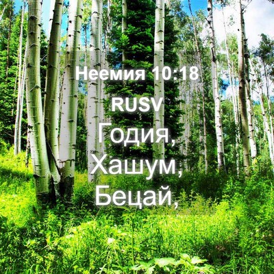 Picture 04 - Неемия 10:18 RUSV - Годия, Хашум, - Bible Verse Picture