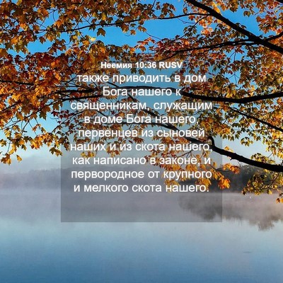 Picture 04 - Неемия 10:36 RUSV - также приводить в дом Бога - Bible Verse Picture
