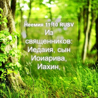 Picture 04 - Неемия 11:10 RUSV - Из священников: Иедаия, сын - Bible Verse Picture