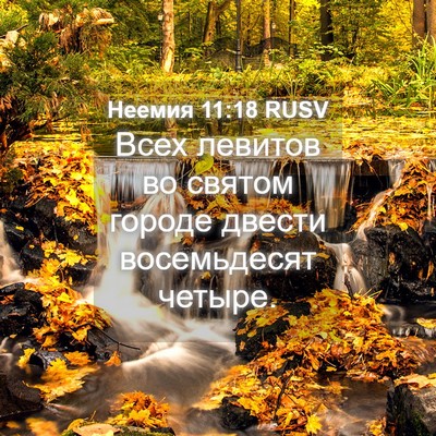 Picture 04 - Неемия 11:18 RUSV - Всех левитов во святом - Bible Verse Picture