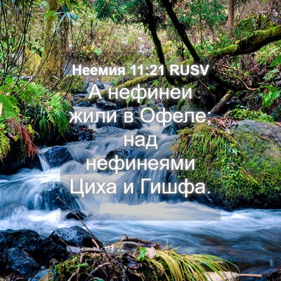 Picture 04 - Неемия 11:21 RUSV - А нефинеи жили в Офеле; над - Bible Verse Picture