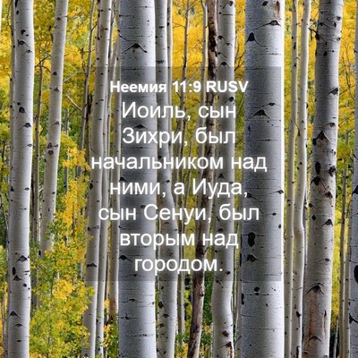 Picture 04 - Неемия 11:9 RUSV - Иоиль, сын Зихри, был - Bible Verse Picture