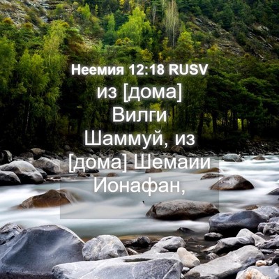 Picture 04 - Неемия 12:18 RUSV - из [дома] Вилги Шаммуй, из - Bible Verse Picture