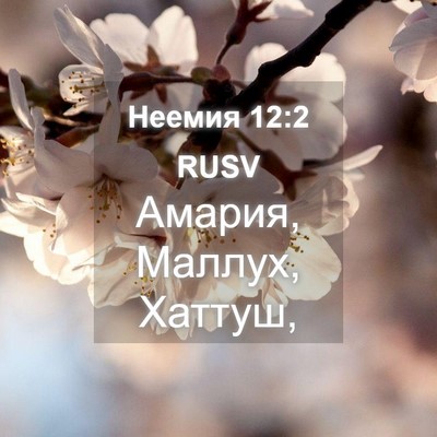 Picture 04 - Неемия 12:2 RUSV - Амария, Маллух, - Bible Verse Picture