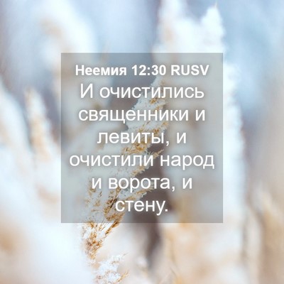 Picture 04 - Неемия 12:30 RUSV - И очистились священники и - Bible Verse Picture