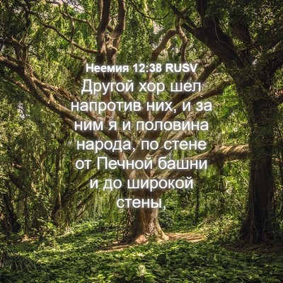 Picture 04 - Неемия 12:38 RUSV - Другой хор шел напротив - Bible Verse Picture