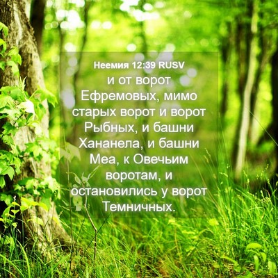 Picture 04 - Неемия 12:39 RUSV - и от ворот Ефремовых, мимо - Bible Verse Picture