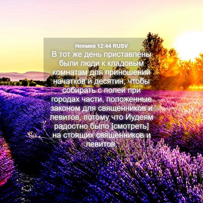 Picture 04 - Неемия 12:44 RUSV - В тот же день приставлены - Bible Verse Picture