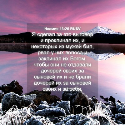 Picture 04 - Неемия 13:25 RUSV - Я сделал за это выговор и - Bible Verse Picture