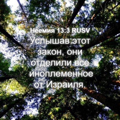 Picture 04 - Неемия 13:3 RUSV - Услышав этот закон, они - Bible Verse Picture