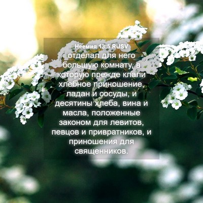 Picture 04 - Неемия 13:5 RUSV - отделал для него большую - Bible Verse Picture