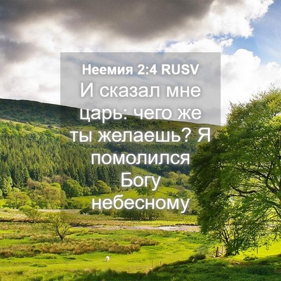 Picture 04 - Неемия 2:4 RUSV - И сказал мне царь: чего же - Bible Verse Picture
