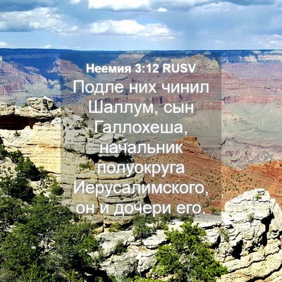 Picture 04 - Неемия 3:12 RUSV - Подле них чинил Шаллум, сын - Bible Verse Picture