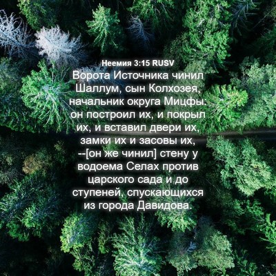 Picture 04 - Неемия 3:15 RUSV - Ворота Источника чинил - Bible Verse Picture