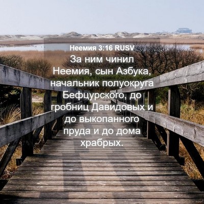 Picture 04 - Неемия 3:16 RUSV - За ним чинил Неемия, сын - Bible Verse Picture