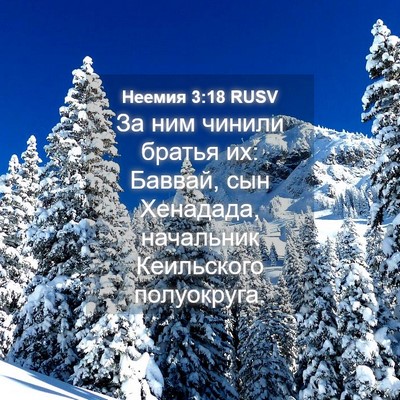 Picture 04 - Неемия 3:18 RUSV - За ним чинили братья их: - Bible Verse Picture