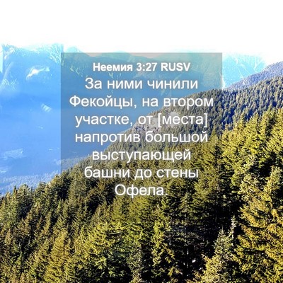 Picture 04 - Неемия 3:27 RUSV - За ними чинили Фекойцы, на - Bible Verse Picture