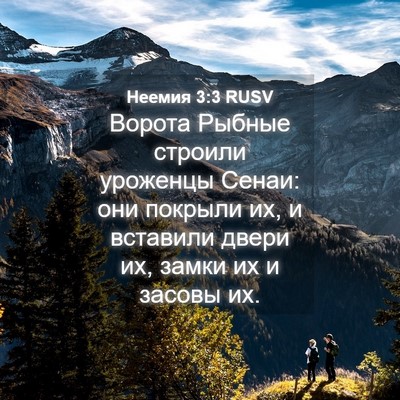 Picture 04 - Неемия 3:3 RUSV - Ворота Рыбные строили - Bible Verse Picture