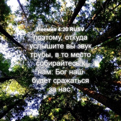 Picture 04 - Неемия 4:20 RUSV - поэтому, откуда услышите - Bible Verse Picture