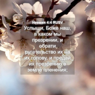 Picture 04 - Неемия 4:4 RUSV - Услыши, Боже наш, в каком мы - Bible Verse Picture