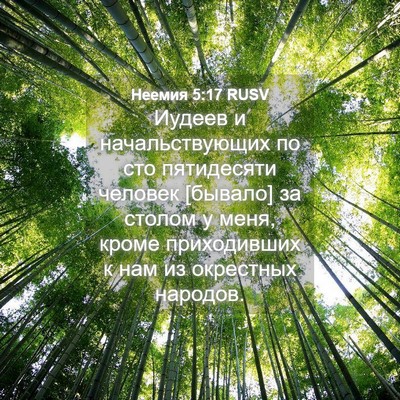 Picture 04 - Неемия 5:17 RUSV - Иудеев и начальствующих по - Bible Verse Picture