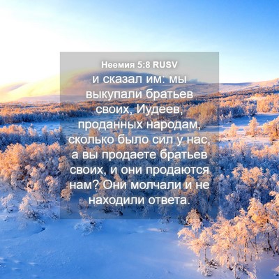 Picture 04 - Неемия 5:8 RUSV - и сказал им: мы выкупали - Bible Verse Picture
