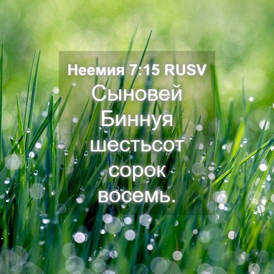 Picture 04 - Неемия 7:15 RUSV - Сыновей Биннуя шестьсот - Bible Verse Picture
