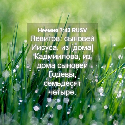 Picture 04 - Неемия 7:43 RUSV - Левитов: сыновей Иисуса, из - Bible Verse Picture