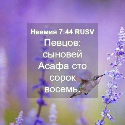 Picture 04 - Неемия 7:44 RUSV - Певцов: сыновей Асафа сто - Bible Verse Picture