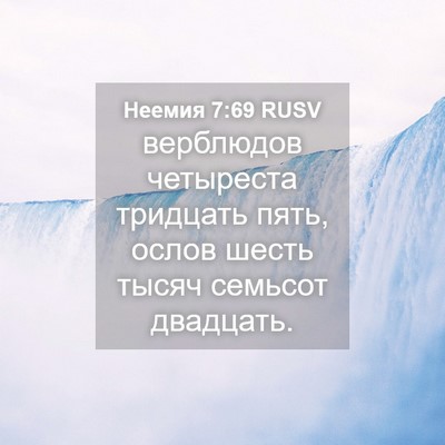 Picture 04 - Неемия 7:69 RUSV - верблюдов четыреста - Bible Verse Picture