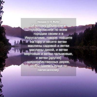 Picture 04 - Неемия 8:15 RUSV - И потому объявили и - Bible Verse Picture