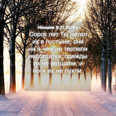 Picture 04 - Неемия 9:21 RUSV - Сорок лет Ты питал их в - Bible Verse Picture
