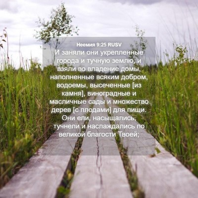 Picture 04 - Неемия 9:25 RUSV - И заняли они укрепленные - Bible Verse Picture