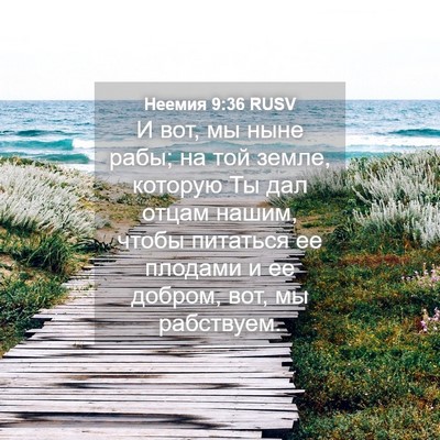 Picture 04 - Неемия 9:36 RUSV - И вот, мы ныне рабы; на той - Bible Verse Picture