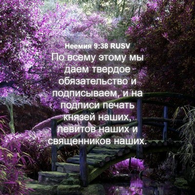 Picture 04 - Неемия 9:38 RUSV - По всему этому мы даем - Bible Verse Picture
