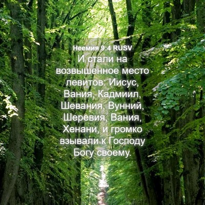 Picture 04 - Неемия 9:4 RUSV - И стали на возвышенное - Bible Verse Picture