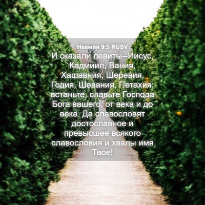 Picture 04 - Неемия 9:5 RUSV - И сказали левиты--Иисус, - Bible Verse Picture