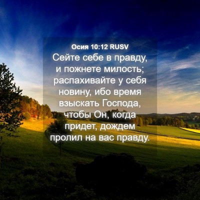 Picture 04 - Осия 10:12 RUSV - Сейте себе в правду, и - Bible Verse Picture