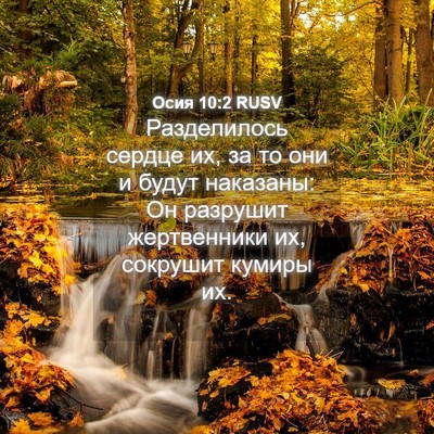 Picture 04 - Осия 10:2 RUSV - Разделилось сердце их, за - Bible Verse Picture