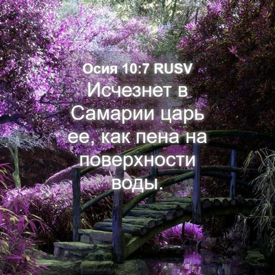 Picture 04 - Осия 10:7 RUSV - Исчезнет в Самарии царь ее, - Bible Verse Picture