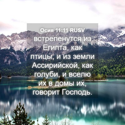 Picture 04 - Осия 11:11 RUSV - встрепенутся из Египта, - Bible Verse Picture